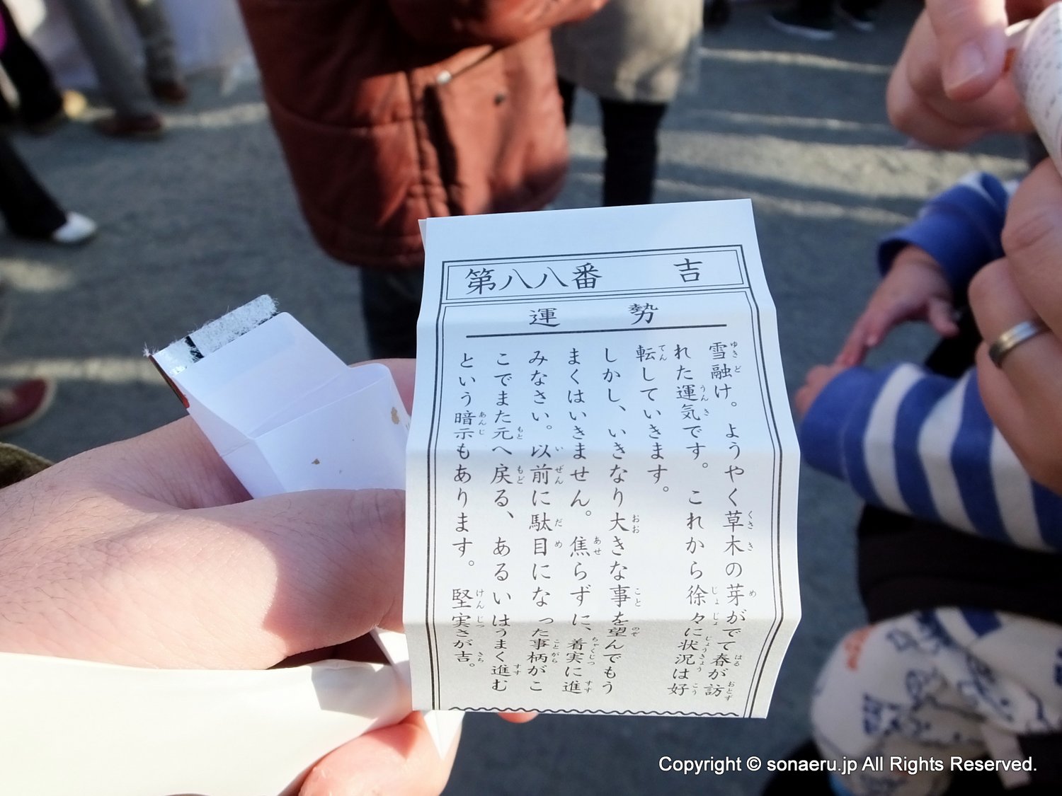 三嶋大社で売っているおみくじ