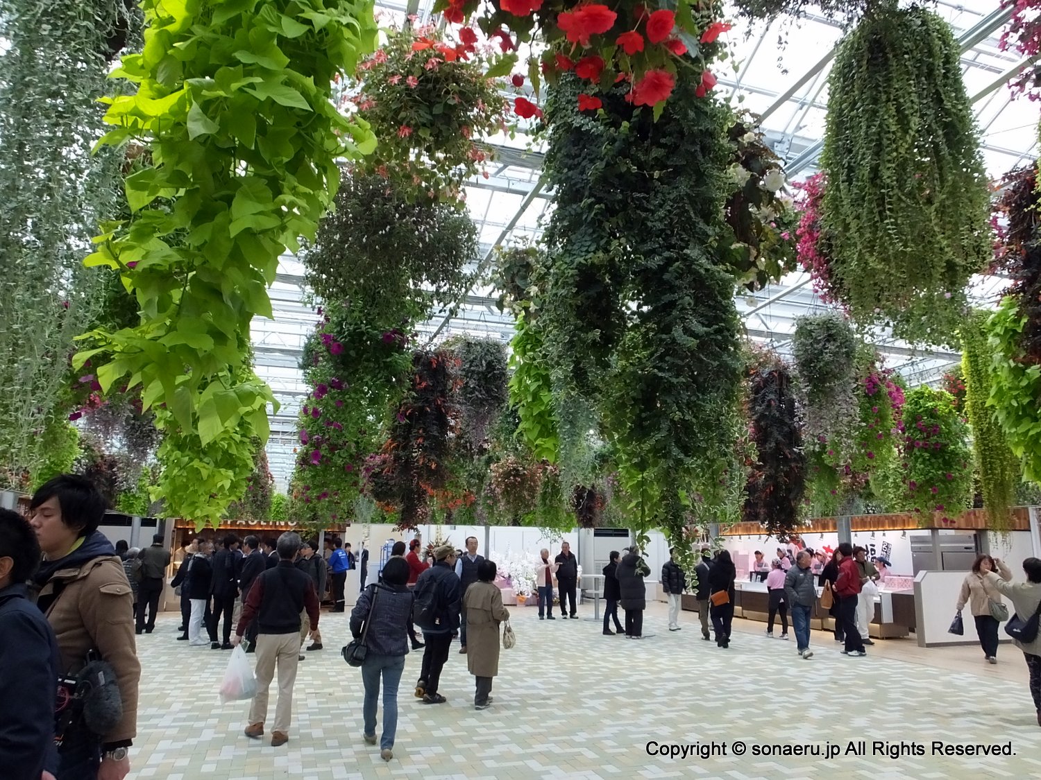 箱根西麓三島大吊り橋・みしまスカイウォークのSKY GARDEN（スカイガーデン）花のシャンデリア写真