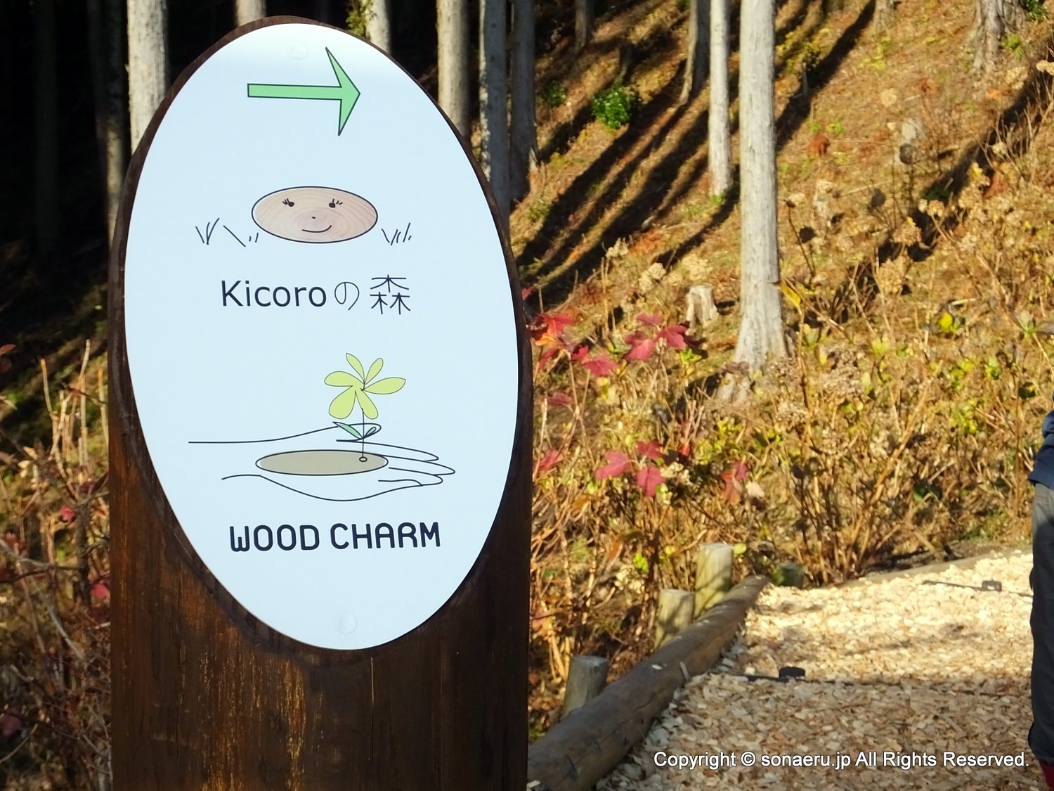 箱根西麓三島大吊り橋・みしまスカイウォークのkicoroの森（森林散歩エリア）入口看板写真