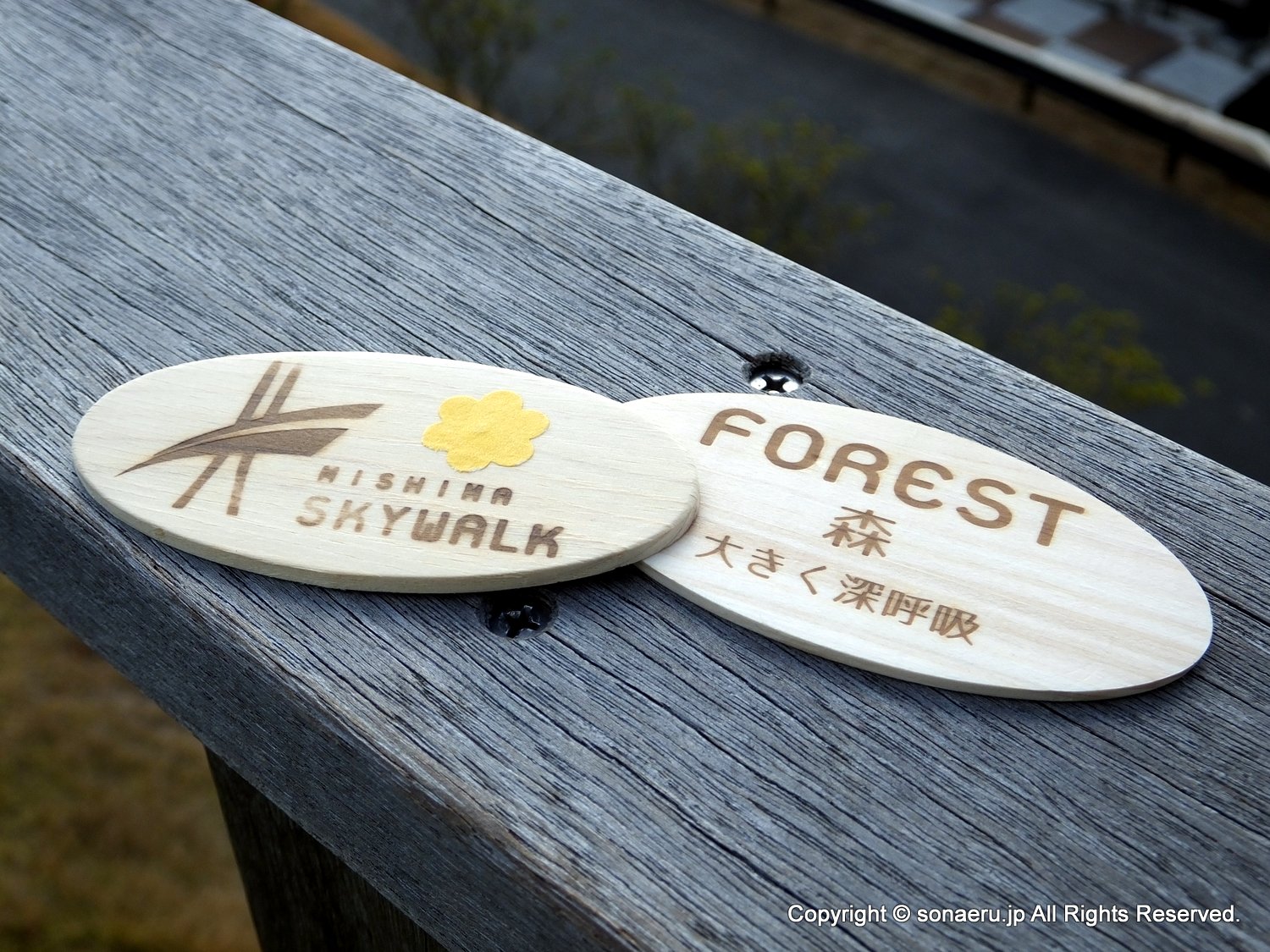 箱根西麓三島大吊り橋・みしまスカイウォークのWOOD CHARM（ウッドチャーム）の写真