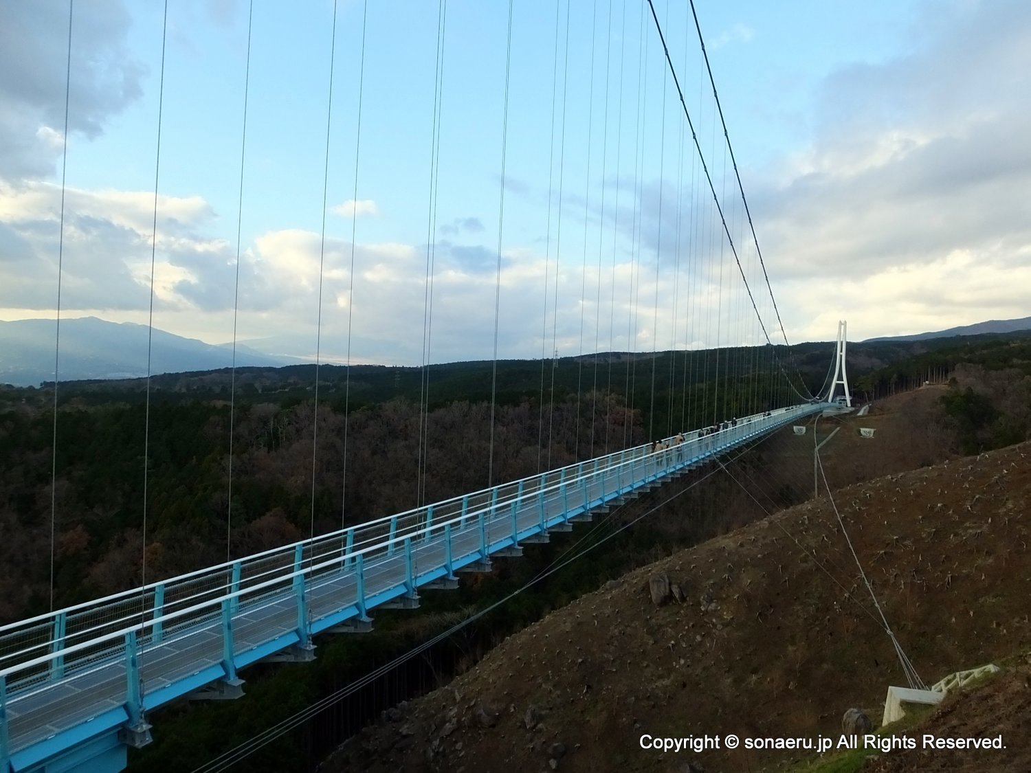 箱根西麓三島大吊り橋・みしまスカイウォークの吊り橋全景２