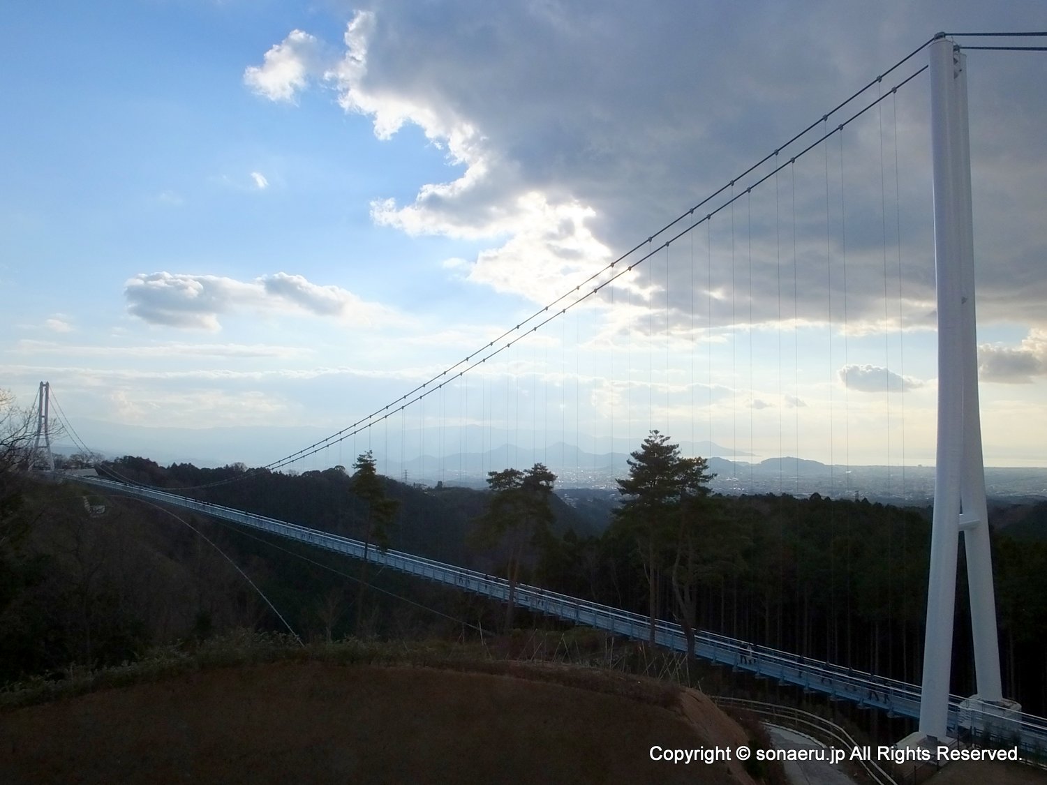箱根西麓三島大吊り橋・みしまスカイウォークの吊り橋全景３