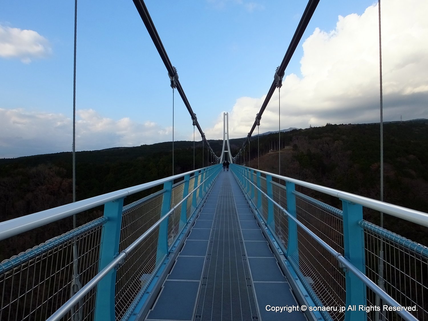 箱根西麓三島大吊り橋・みしまスカイウォークの橋に入った直後の全景写真