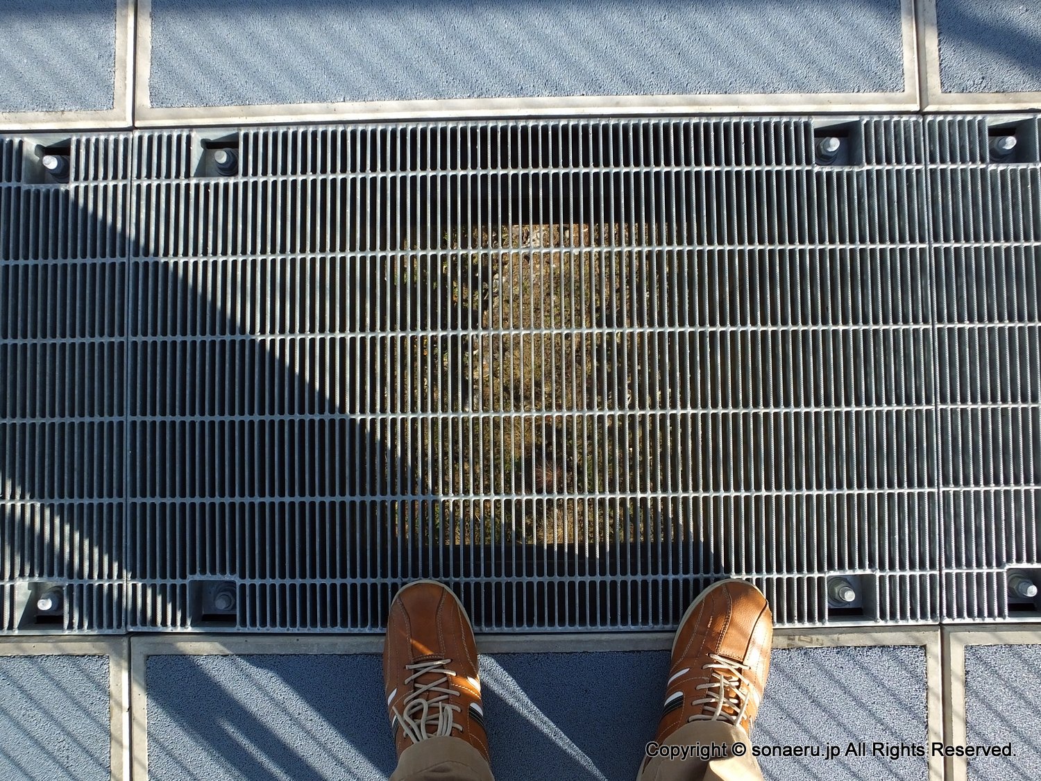 箱根西麓三島大吊り橋・みしまスカイウォークのグレーチングから見た下の景色の写真