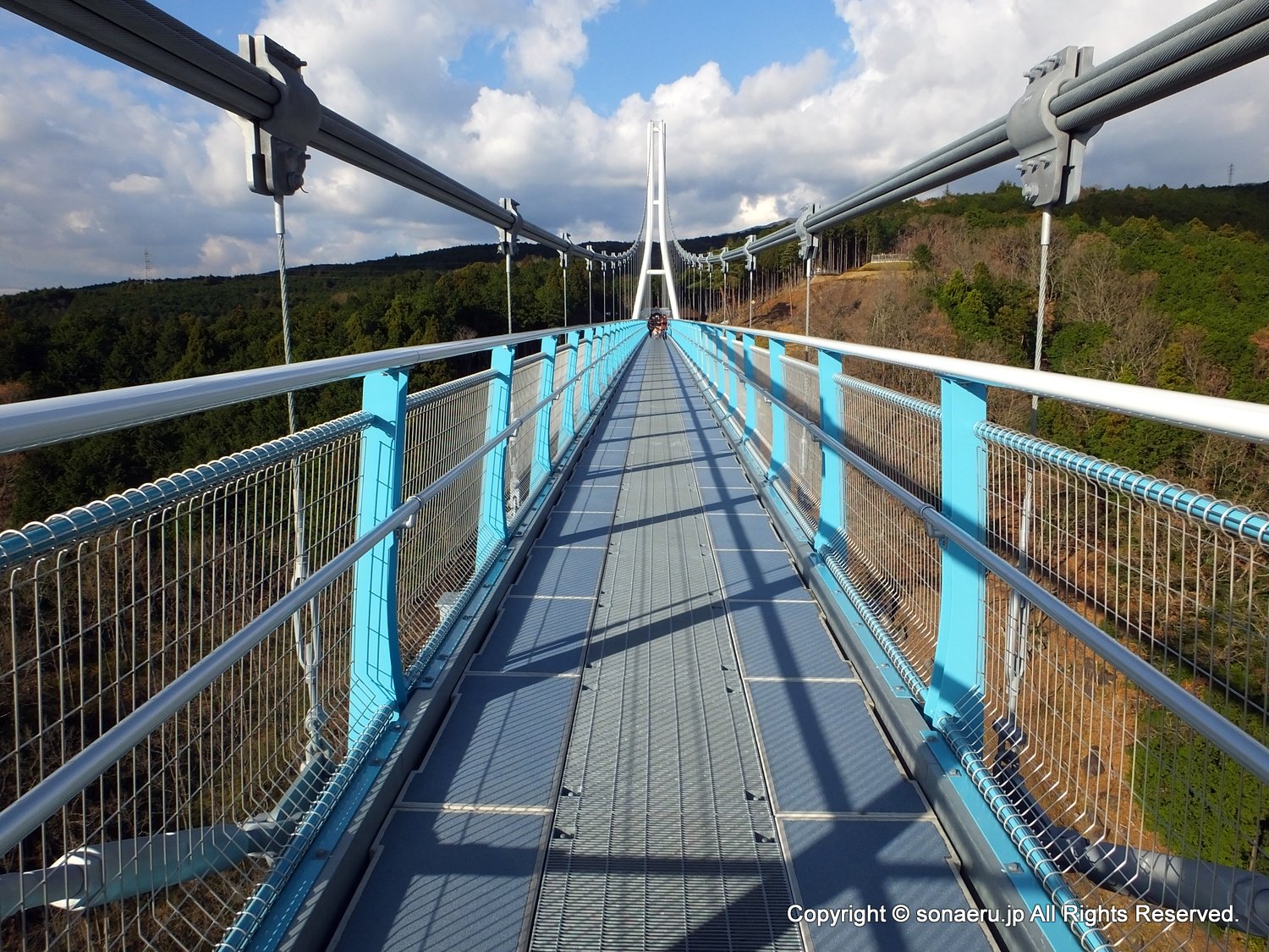 箱根西麓三島大吊り橋・みしまスカイウォークの通路全景の写真
