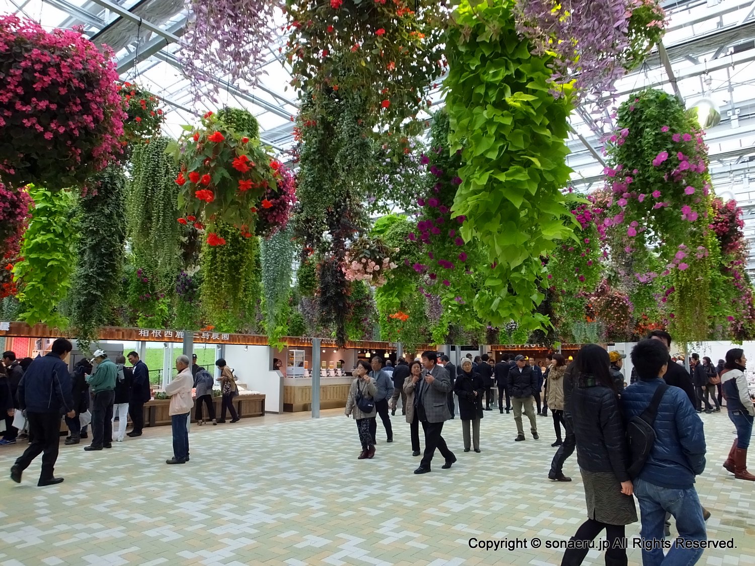 箱根西麓三島大吊り橋・みしまスカイウォークの花シャンデリア広場写真