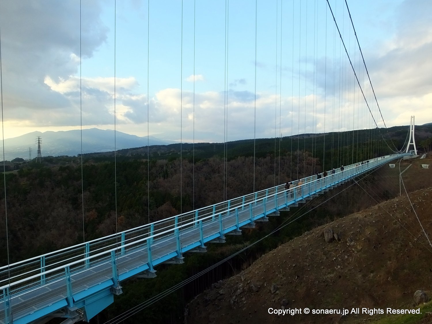 箱根西麓三島大吊り橋・みしまスカイウォークの北側全景写真
