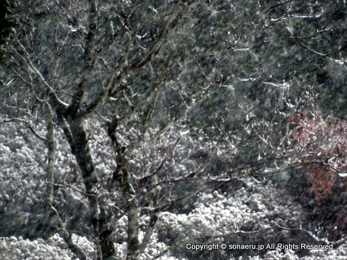 強烈寒波と大雪、行うべき対策と準備・買う物は？